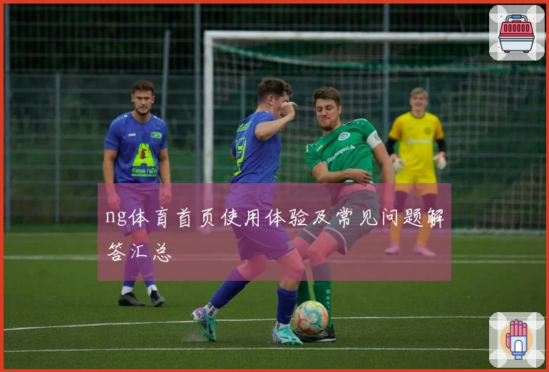 ng体育首页使用体验及常见问题解答汇总