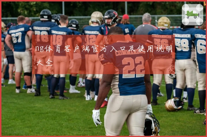 ng体育客户端官方入口及使用说明大全