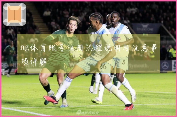 ng体育账号注册流程说明与注意事项详解