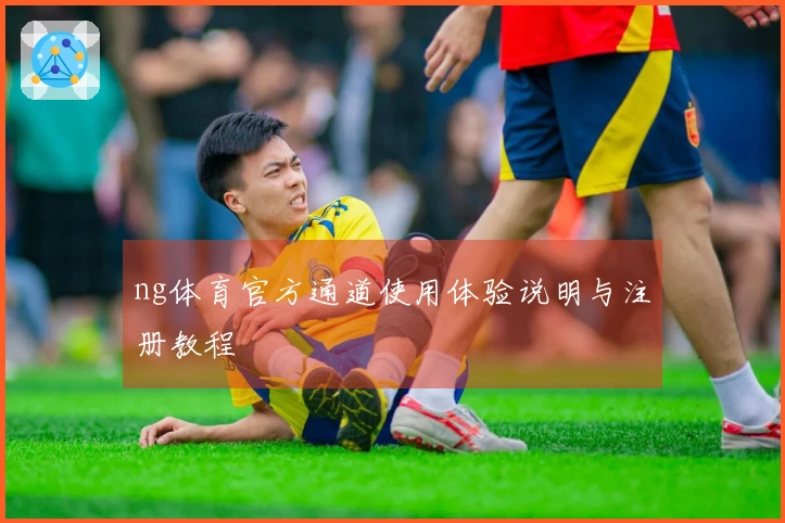 ng体育官方通道使用体验说明与注册教程