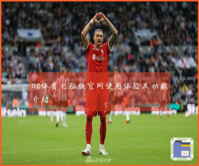 ng体育电脑版官网使用体验及功能介绍